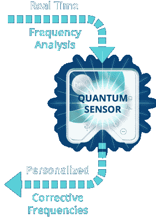 Quantum Sensor